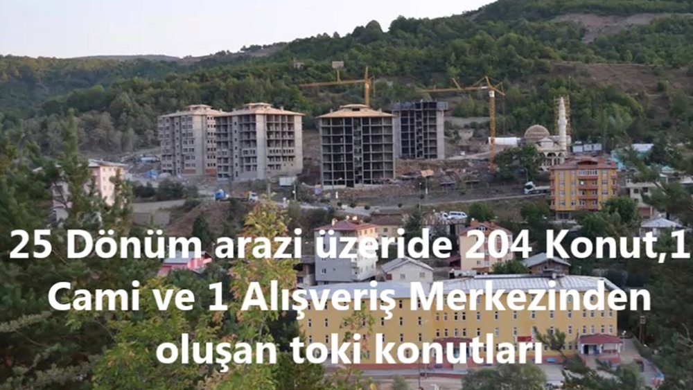 Mesudiye Toki Projesi